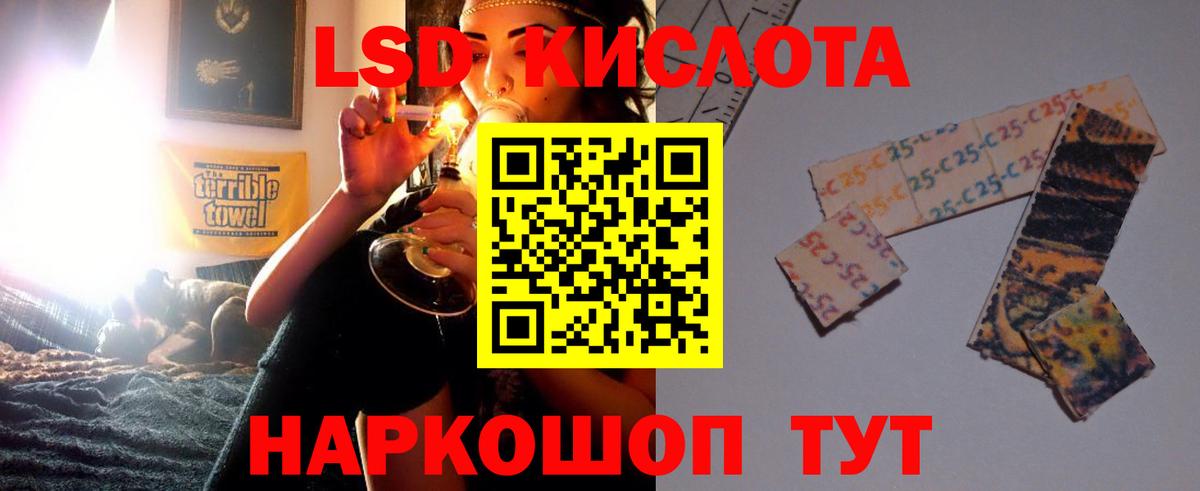А ПВП Кировск