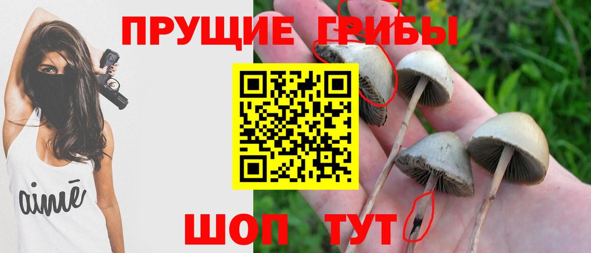 Галлюциногенные грибы Magic Shrooms Кировск