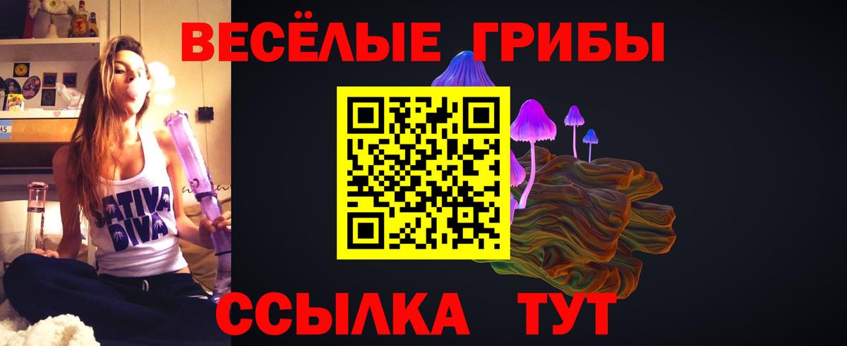 Галлюциногенные грибы ЛСД  Псилоцибиновые грибы GOLDEN TEACHER  Вход с VPN  Кировск 